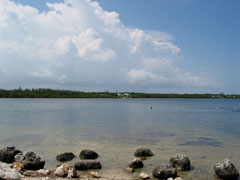 beach at Pennycamp