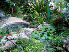 Paradise Inn spa and frog pond