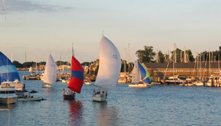Regatta in Annapolis Harbor