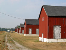 Ontario barns